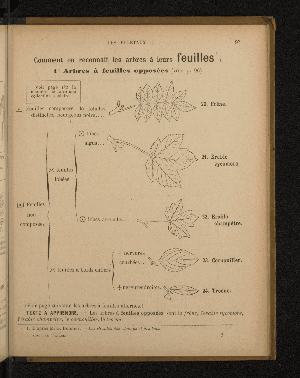 Vorschaubild von [Leçons de choses en 650 gravures]