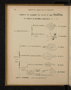 Vorschaubild von [Leçons de choses en 650 gravures]