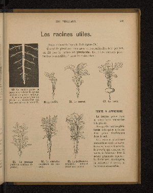 Vorschaubild von [Leçons de choses en 650 gravures]