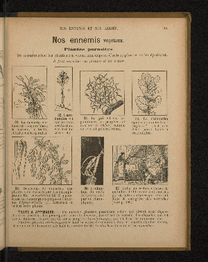 Vorschaubild von [Leçons de choses en 650 gravures]