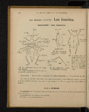 Vorschaubild von [Leçons de choses en 650 gravures]