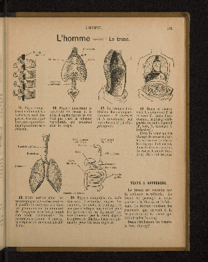 Vorschaubild von [Leçons de choses en 650 gravures]