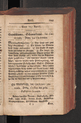 Vorschaubild Seite 245