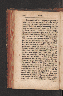 Vorschaubild Seite 246