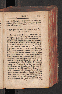 Vorschaubild Seite 265