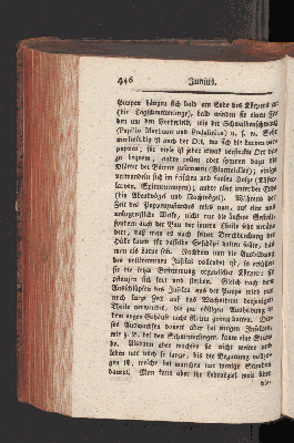 Vorschaubild Seite 446