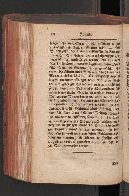 Vorschaubild Seite 42