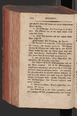 Vorschaubild Seite 202