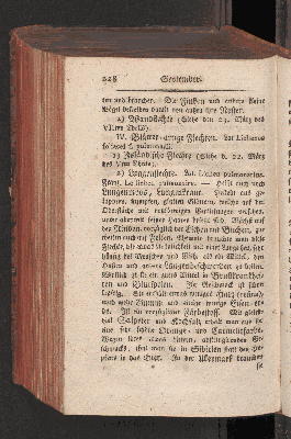 Vorschaubild Seite 228