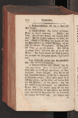 Vorschaubild Seite 232