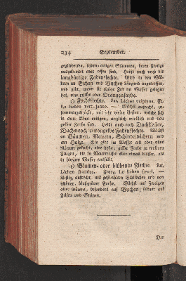Vorschaubild Seite 234