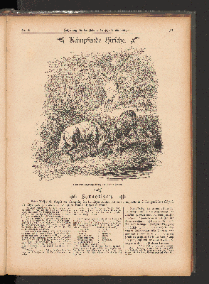 Vorschaubild Seite 131