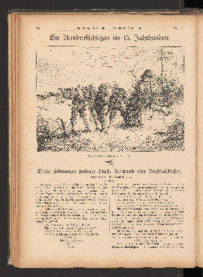 Vorschaubild Seite 216