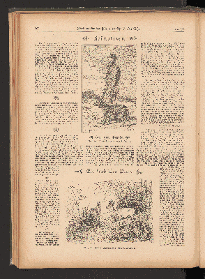 Vorschaubild Seite 262
