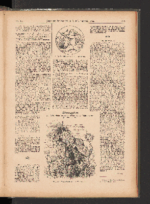 Vorschaubild Seite 283