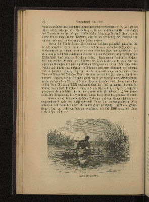 Vorschaubild von [David Livingstone, der Missionär]