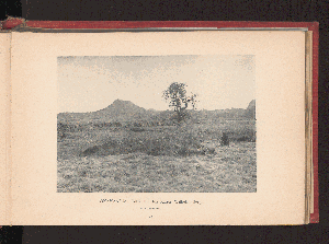 Vorschaubild von [Deutsch-Südwest-Afrika]