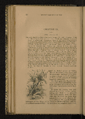 Vorschaubild von Chapter IX. Peru (Continued).