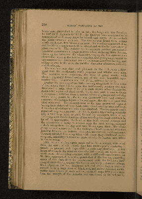 Vorschaubild von [[Narrative of the United States exploring expedition, during the years 1838, 1839, 1840, 1841, 1842]]