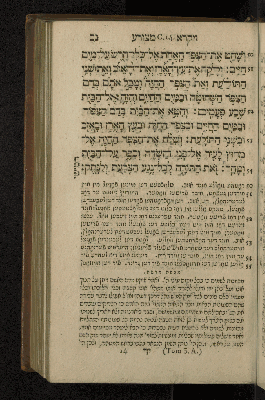 Vorschaubild von [Sefer wa-yiqra [Leviticus]]