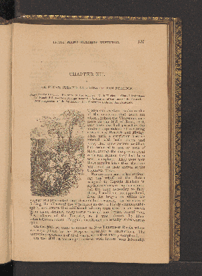 Vorschaubild von Chapter XII. De Fuca's Straits and Loss of the Peacock.