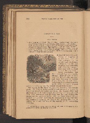 Vorschaubild von [[Narrative of the United States exploring expedition, during the years 1838, 1839, 1840, 1841, 1842]]