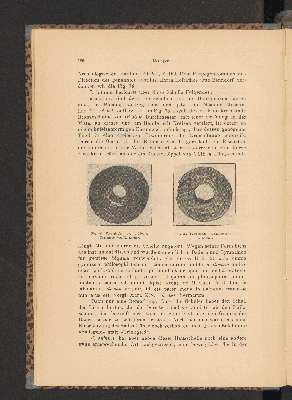 Vorschaubild von [Festschrift aus Anlass des zehnjährigen Bestandes des Vereines für österreichische Volkskunde (1894-1904)]