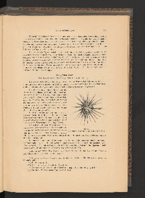 Vorschaubild von [Festschrift aus Anlass des zehnjährigen Bestandes des Vereines für österreichische Volkskunde (1894-1904)]