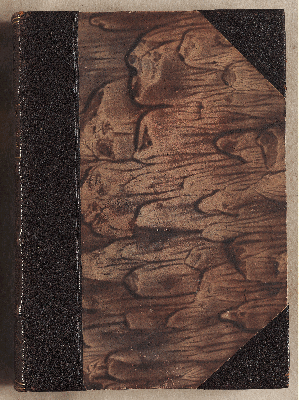 Vorschaubild von Liber ordinarius monasterii s. Caeciliae Coloniensis