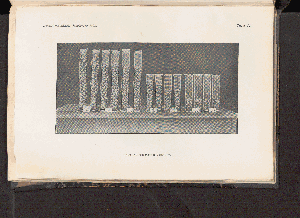 Vorschaubild von [[Landwirtschaftliche Jahrbücher]]