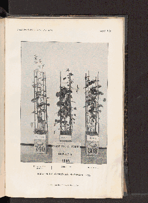 Vorschaubild von [[Landwirtschaftliche Jahrbücher]]