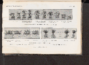 Vorschaubild von [[Landwirtschaftliche Jahrbücher]]