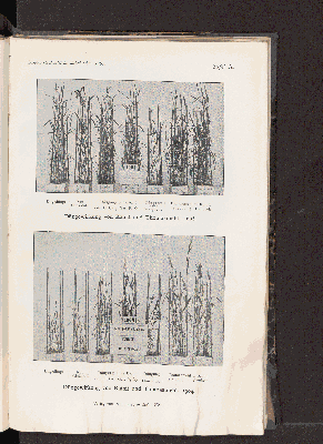 Vorschaubild von [[Landwirtschaftliche Jahrbücher]]