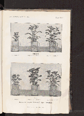 Vorschaubild von [[Landwirtschaftliche Jahrbücher]]