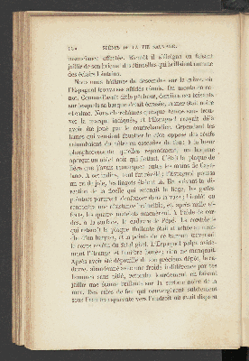 Vorschaubild von [Scènes de la vie sauvage au Mexique]