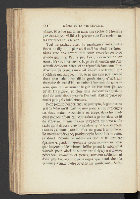 Vorschaubild von [Scènes de la vie sauvage au Mexique]