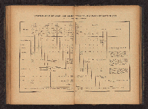 Vorschaubild von [Einrichtung und Betrieb der Binnenschifffahrts-Häfen an den Wasserstrassen des Albe- [d.i. Elbe-] und Oder-Gebietes]