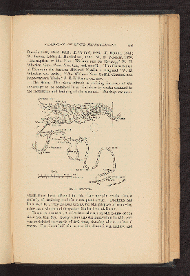 Vorschaubild von [Tidal Rivers, their (1) hydraulics, (2) improvement, (3) navigation]