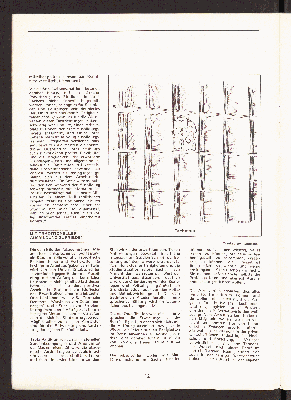 Vorschaubild Seite 12