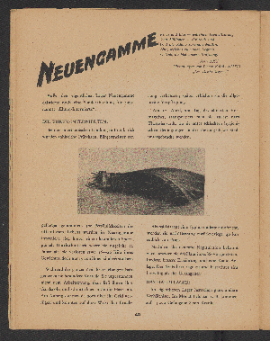 Vorschaubild Seite 39