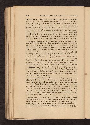 Vorschaubild Seite 376