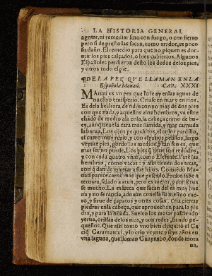 Vorschaubild von [Historia general de las Indias, con todos los descubrimientos, y cosas notables que han acaescido enellas, dende que se ganaron hasta agora]