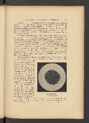 Vorschaubild Seite 405