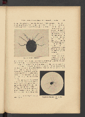 Vorschaubild Seite 431