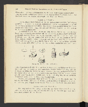 Vorschaubild von [Atlas und Lehrbuch wichtiger tierischer Parasiten und ihrer Überträger]