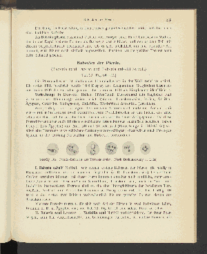 Vorschaubild von [Atlas und Lehrbuch wichtiger tierischer Parasiten und ihrer Überträger]