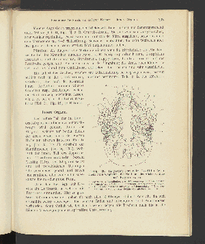 Vorschaubild von [Atlas und Lehrbuch wichtiger tierischer Parasiten und ihrer Überträger]