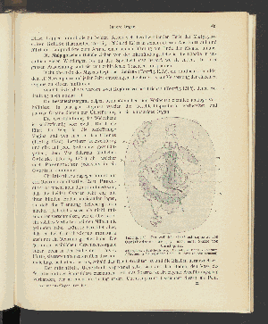 Vorschaubild von [Atlas und Lehrbuch wichtiger tierischer Parasiten und ihrer Überträger]