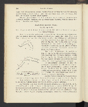 Vorschaubild von [Atlas und Lehrbuch wichtiger tierischer Parasiten und ihrer Überträger]