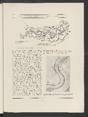 Vorschaubild Seite 49